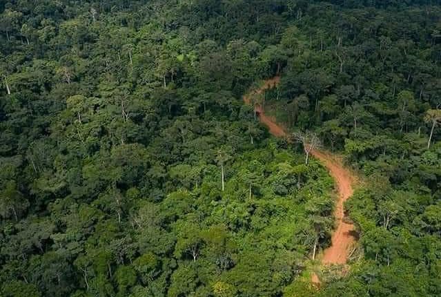 The lush Atewa Forest