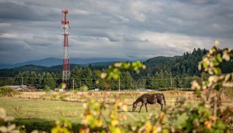 Gbane: Court quashes attempts to reclaim land leased by late Chief